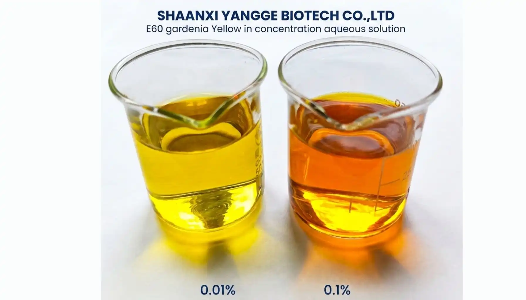 info@yanggebiotech.com (13).jpg